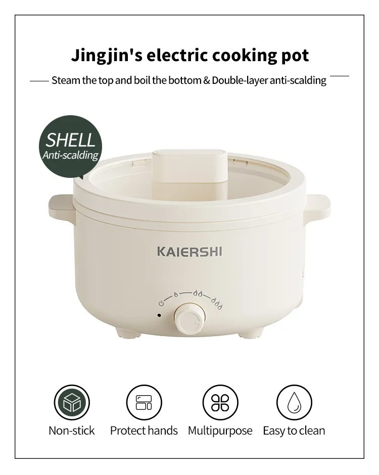 Electric Cooking Pot 2