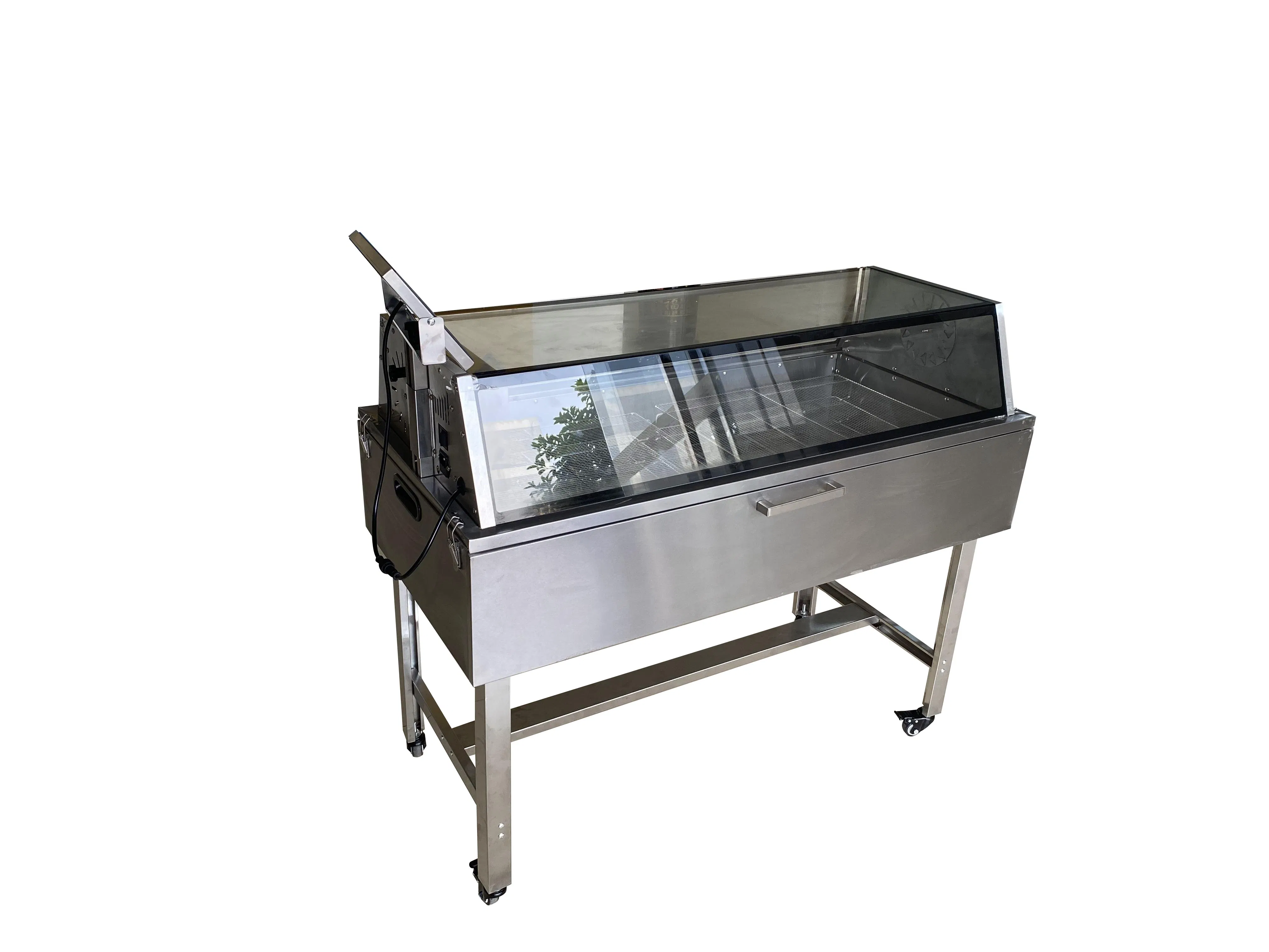 Solar Food Dehydrators with Electric Heating Sources for Fruits, Vegetables and Meat