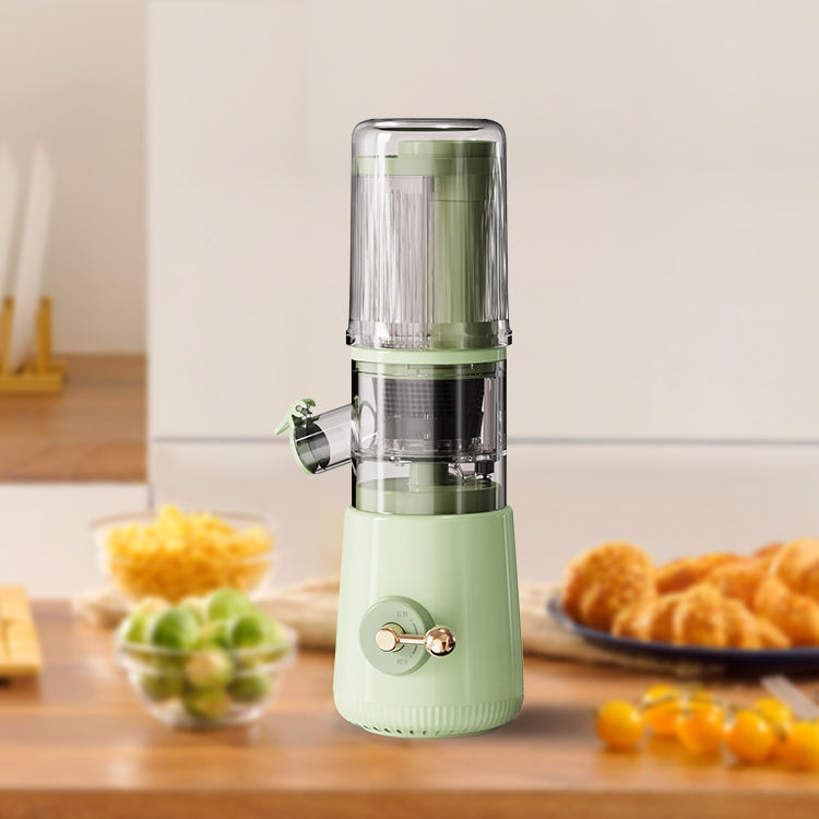 80 Watt High Quality Big Mouth Slow Juicer/ Juicer Extractor