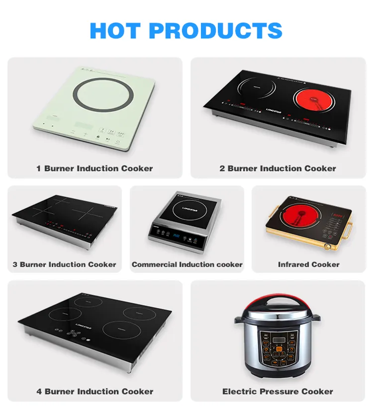 Induction Cooker Detail 1