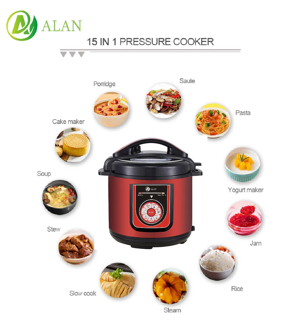 Pressure Cooker Details 3