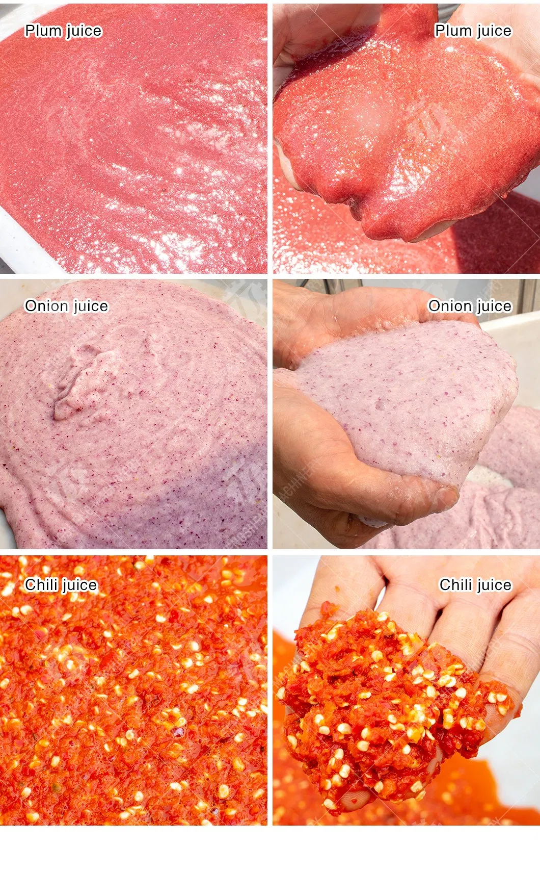 Juicer Machine Detail 4