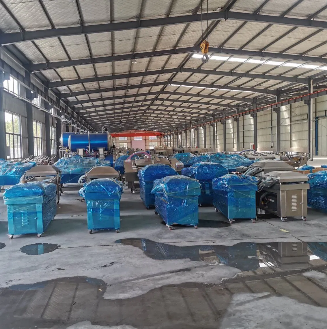 600/700/800 2s Premium Double Chamber Vacuum Sealer for Efficient Food Storage