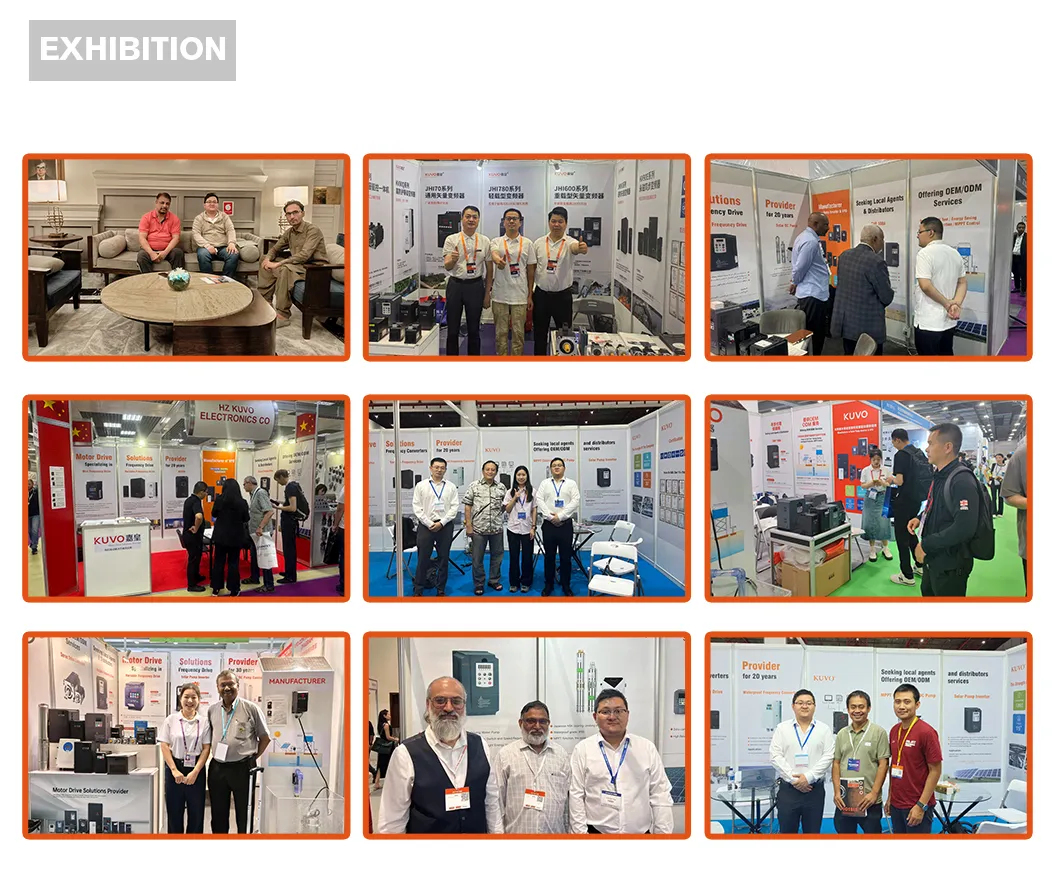 Exposiciones globales