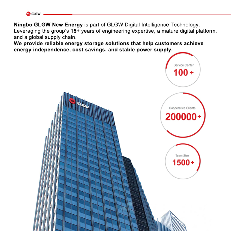 Residential Energy Storage 6.5kw High Efficiency Inverter Parallel Operation Fast Switching Home Solar System Hybrid Solar Inverter