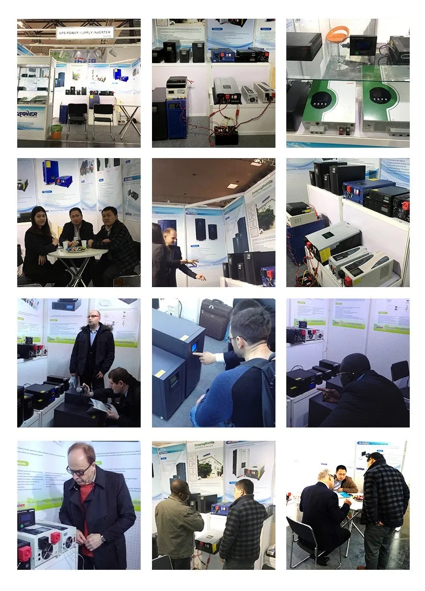 Exhibición internacional