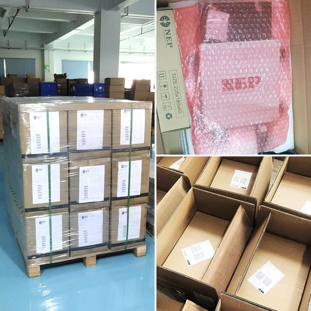 Sistema Solar Inversor de Bajo Precio Onda Sinusoidal Pura Alta Frecuencia Bdm 300/500/600/800W-230V Inversor Solar en China