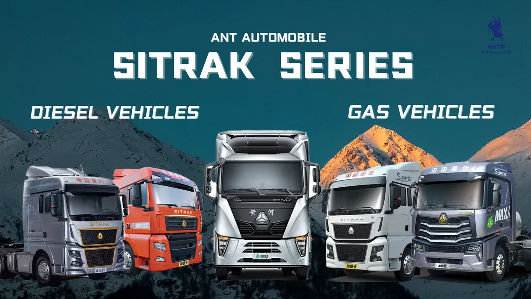 Sinotruk Usado Mejor Mini Cargadora de Oruga Buen Precio con Alta Calidad