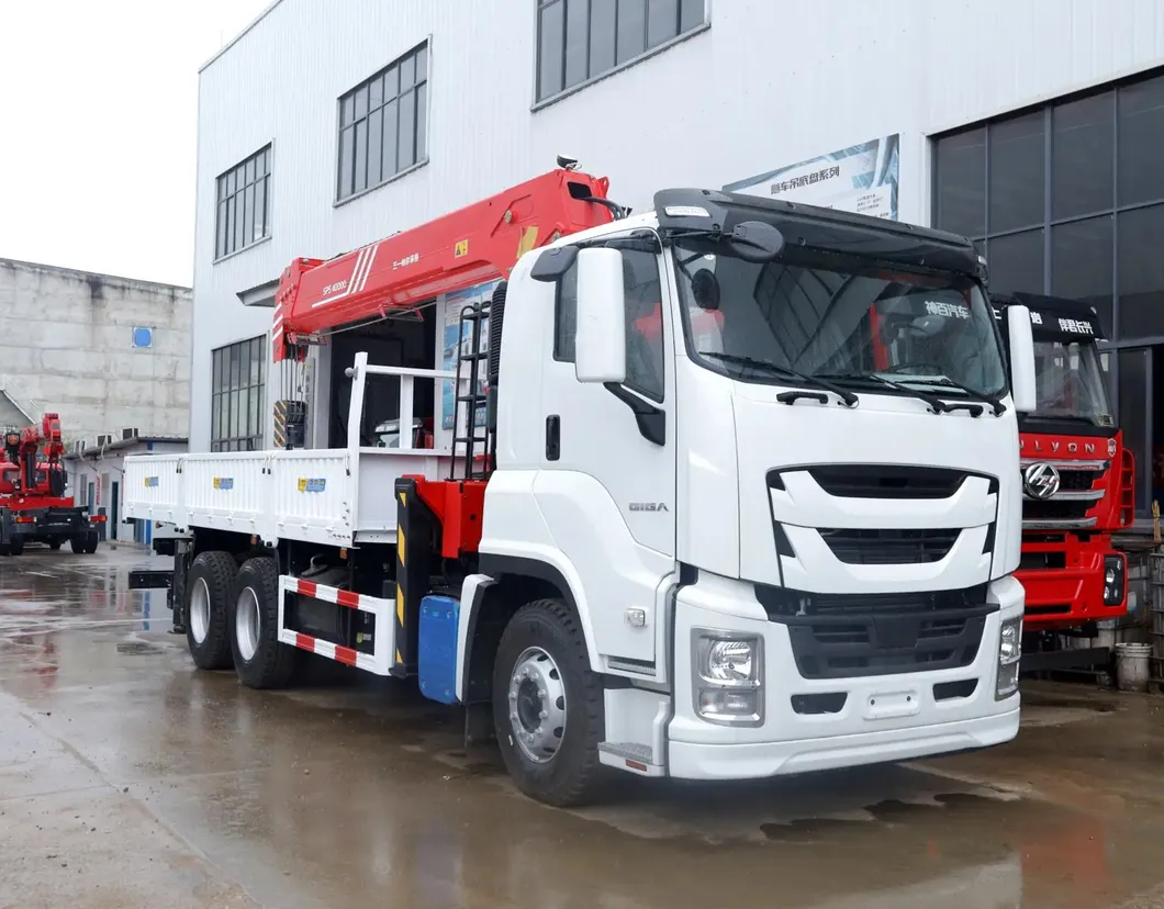 Grúa montada en camión volquete Dongfeng de radio corto