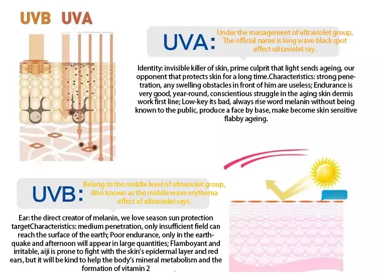 Sunscreen Spray Details 3