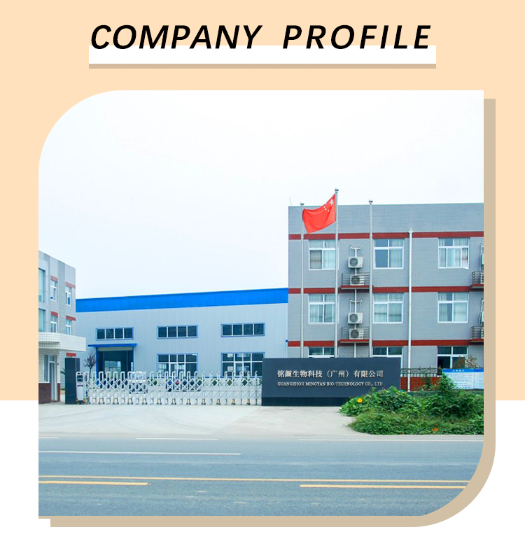 Factory Overview