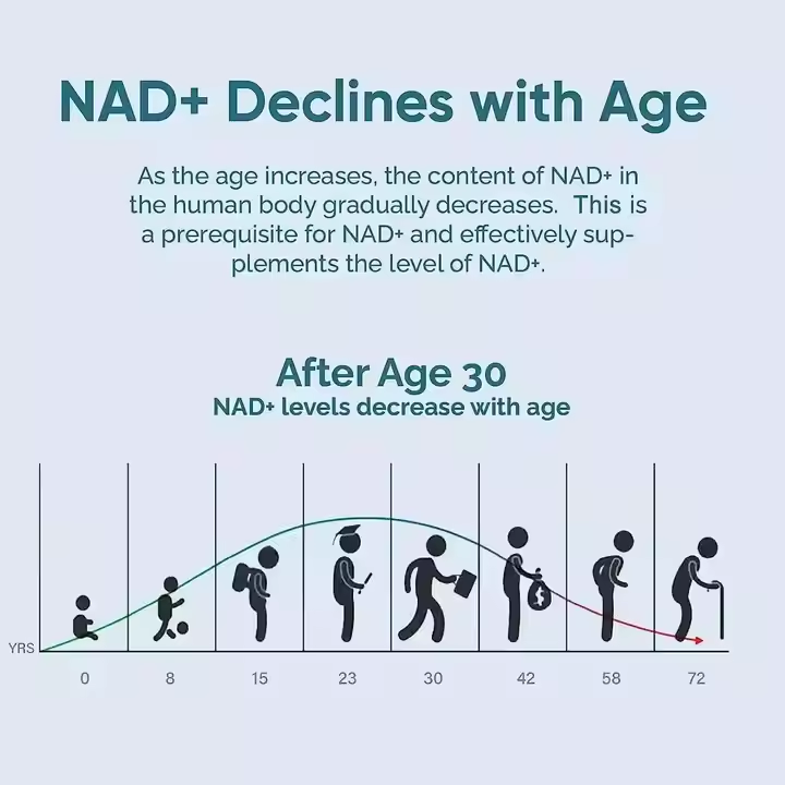 OEM/ODM NAD+ Resveratrol Capsules -High Purity Niacinamide Nucleoside Boost Cellular Energy, Support Repair