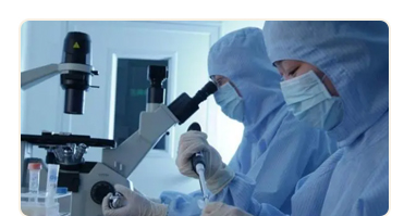 Production Process