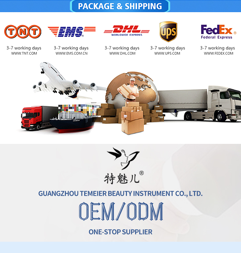 Global Shipping and Logistics Channels