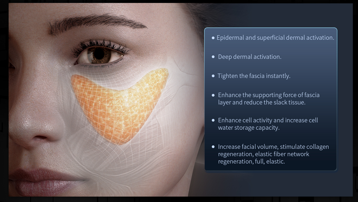 Treatment Areas