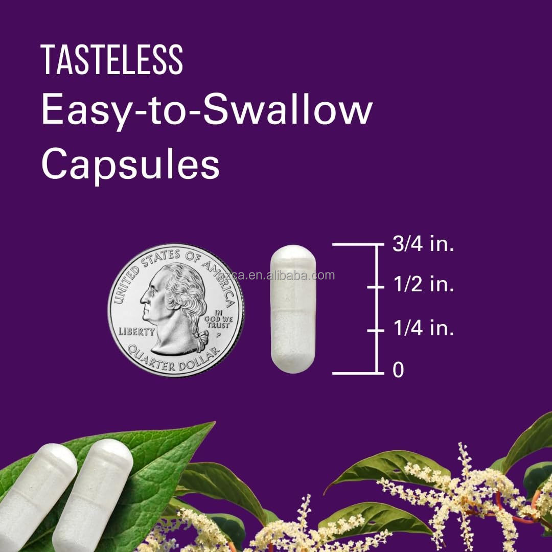 Resveratrol Capsules Antioxidant Supplement Promote Cellular Repair Support Brain and Heart