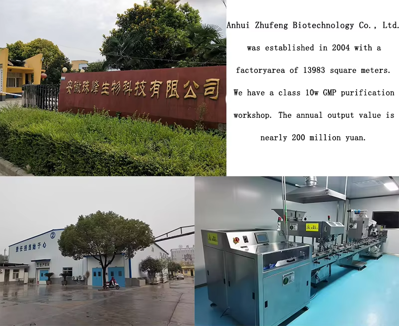 Company Profile 1
