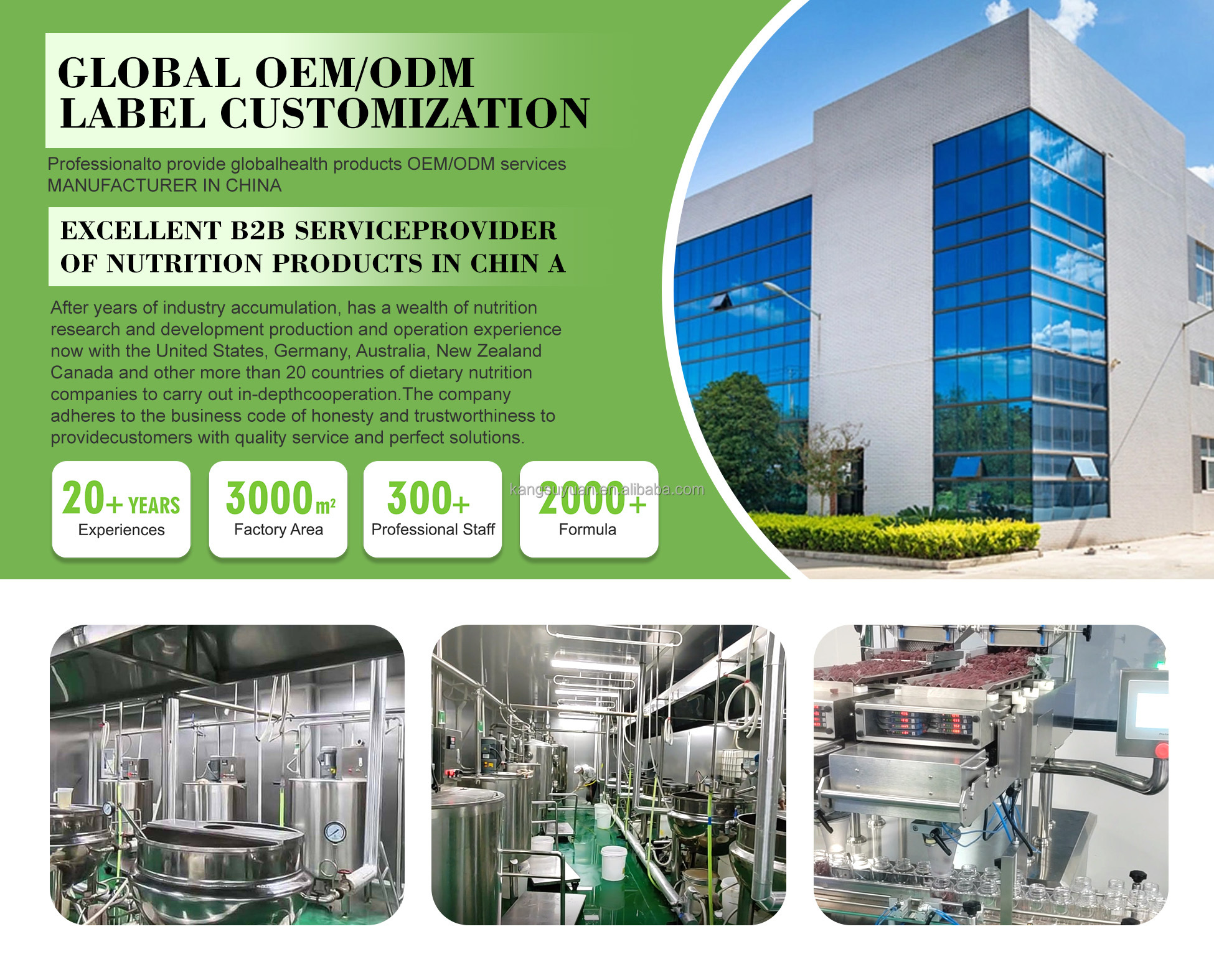 Company Profile