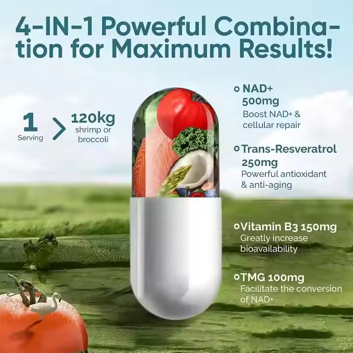 OEM/ODM NAD+ Resveratrol Capsules -High Purity Niacinamide Nucleoside Boost Cellular Energy, Support Repair