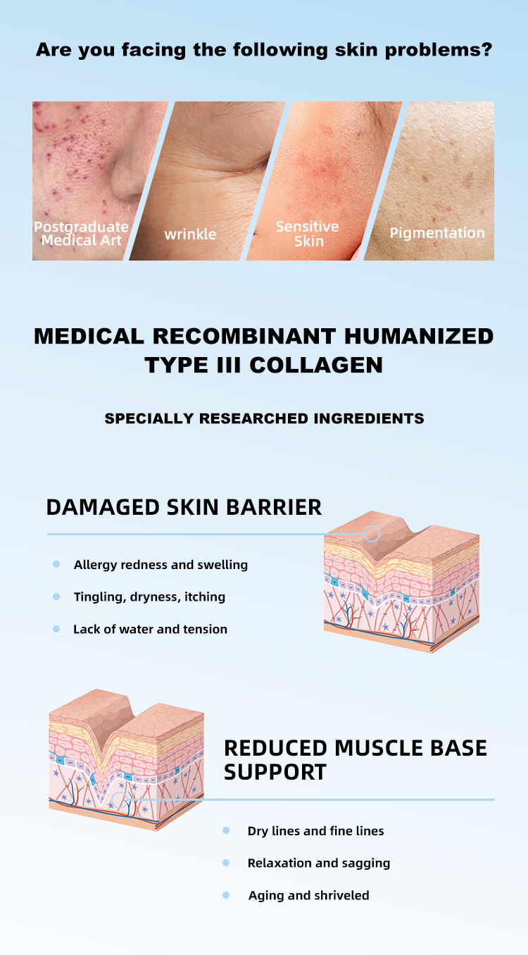 Cosmeceutical Collagen Functional Dressing Application Display