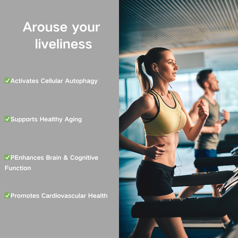 OEM/ODM Premium Spermidine Capsules | Cellular Renewal &amp; Longevity Support