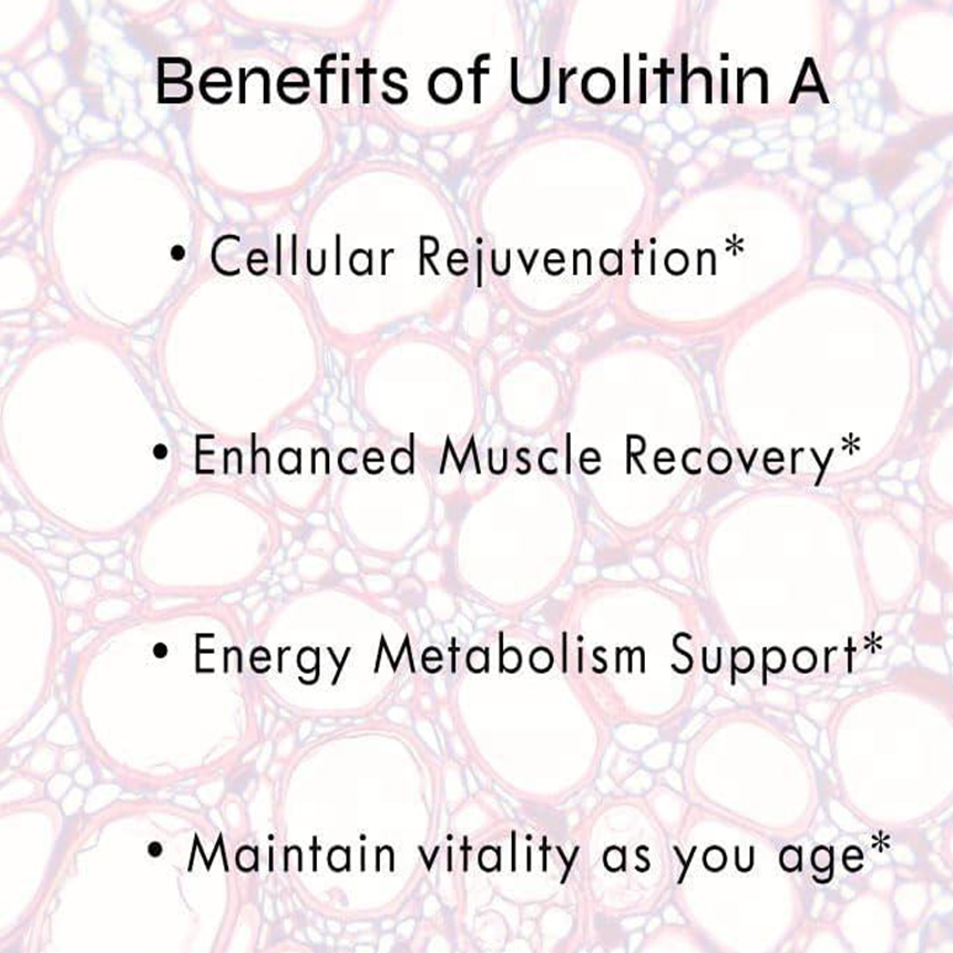 Urolithin a Pro Capsules Advanced Cellular Health Vitality Powerful Energy Boost, Enhanced Muscle Recovery