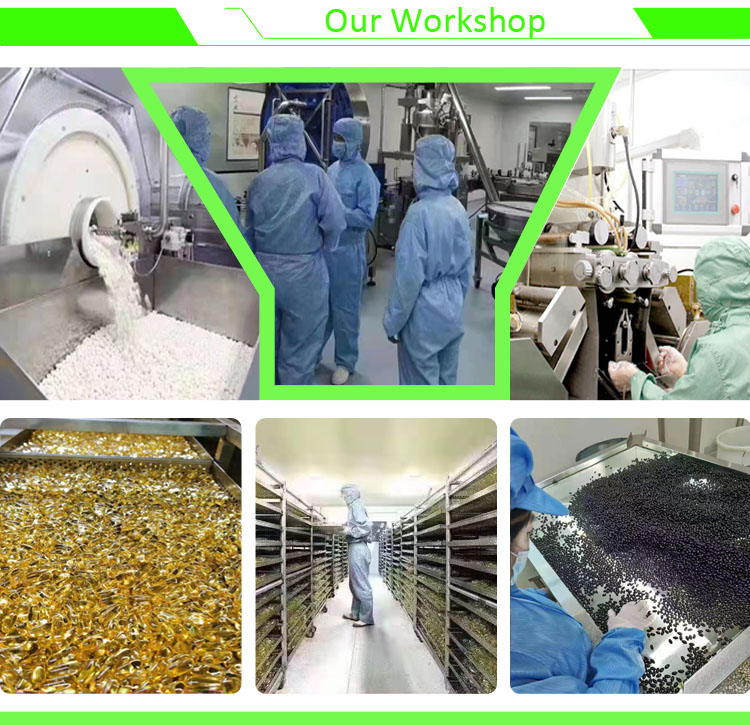 Factory Supply Food Grade Herbal Extract Anti-acne Sebum Regulating Pure Oleanolic Acid White Powder HPLC Tested Bottle/Drum