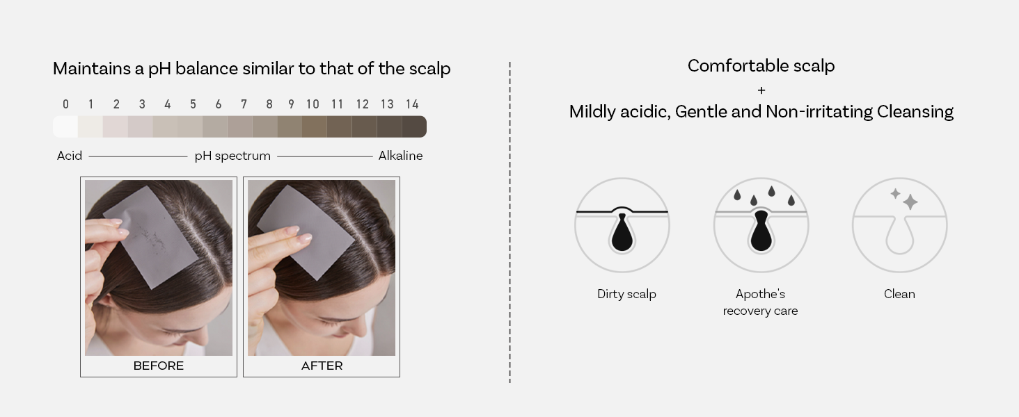 Apothe Sebum Control Shampoo pH-Balanced Formula