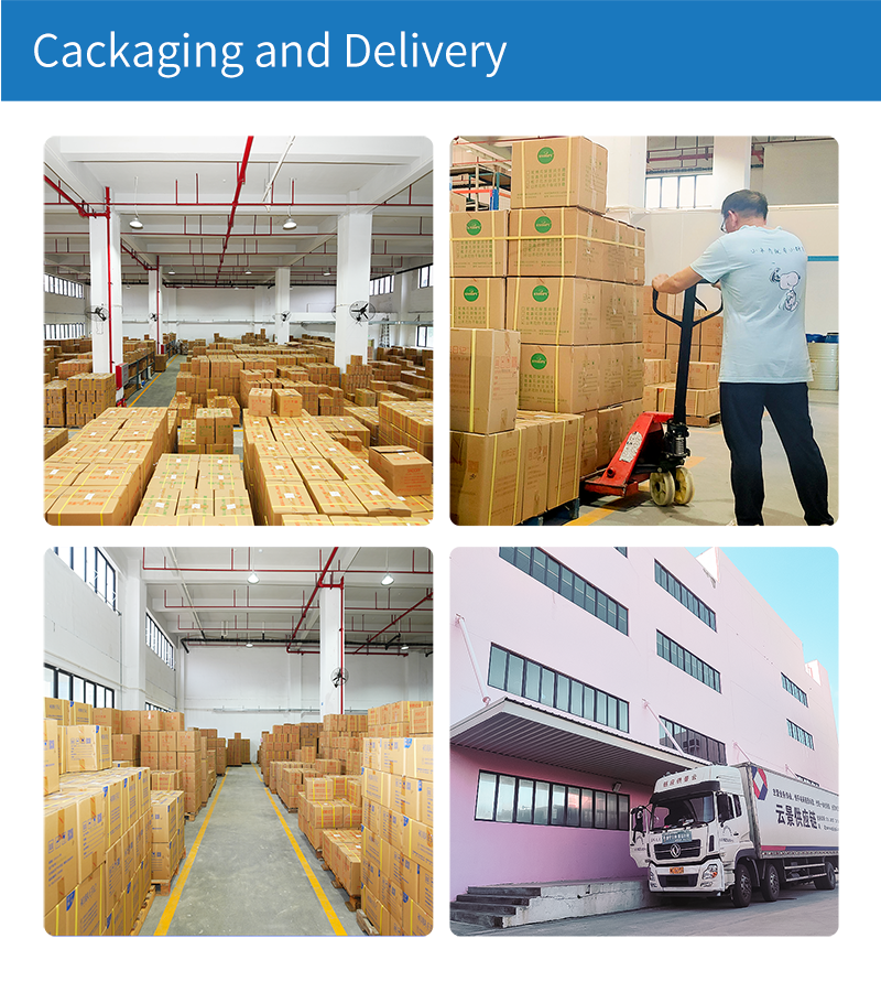 Company Profile Highlights