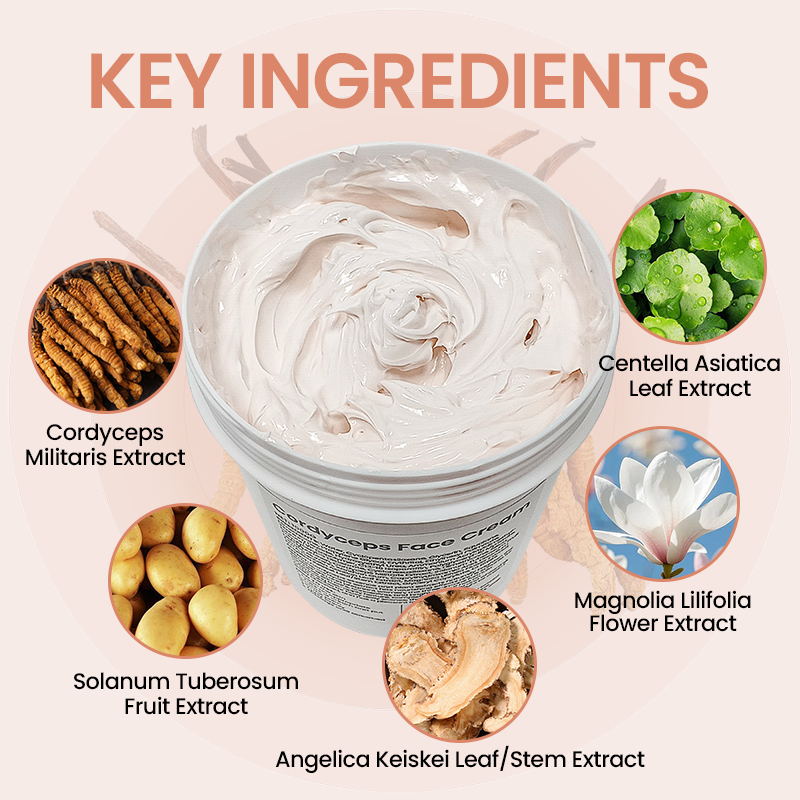 Professional-Grade Hyaluronic Acid &amp; Niacinamide 1KG Whitening Cream Anti-Aging &amp; Brightening Moisturizer for Mature Skin