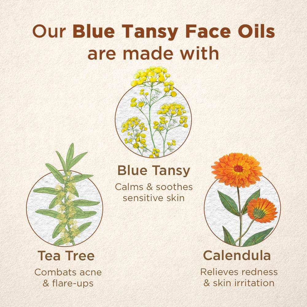 OEM ODM 30ml Skin Care Soothing &amp; Calming Blue Tansy Facial Oil with Tea Tree Calendula for Sensitive Skin
