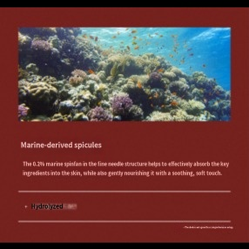 Product Description Image 9