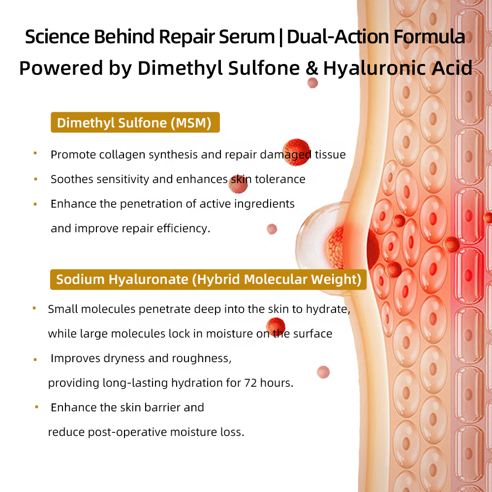 Professional Repair Serum 5ml - Skin Barrier Recovery &amp; Intensive Hydrating Serum With, Enhanced Penetration for Clinic Use