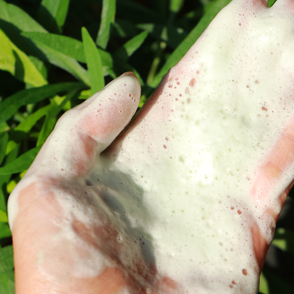Bulk Wholesale Amino Acid Chlorophyll Facial Cleanser 100g Pore-Minimizing Shine Control Hydrating Deep Clean Mild Non-Stripping