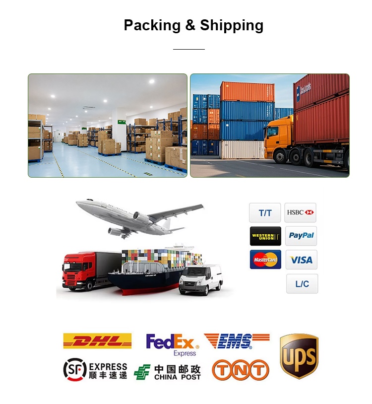 Packing and Delivery Services