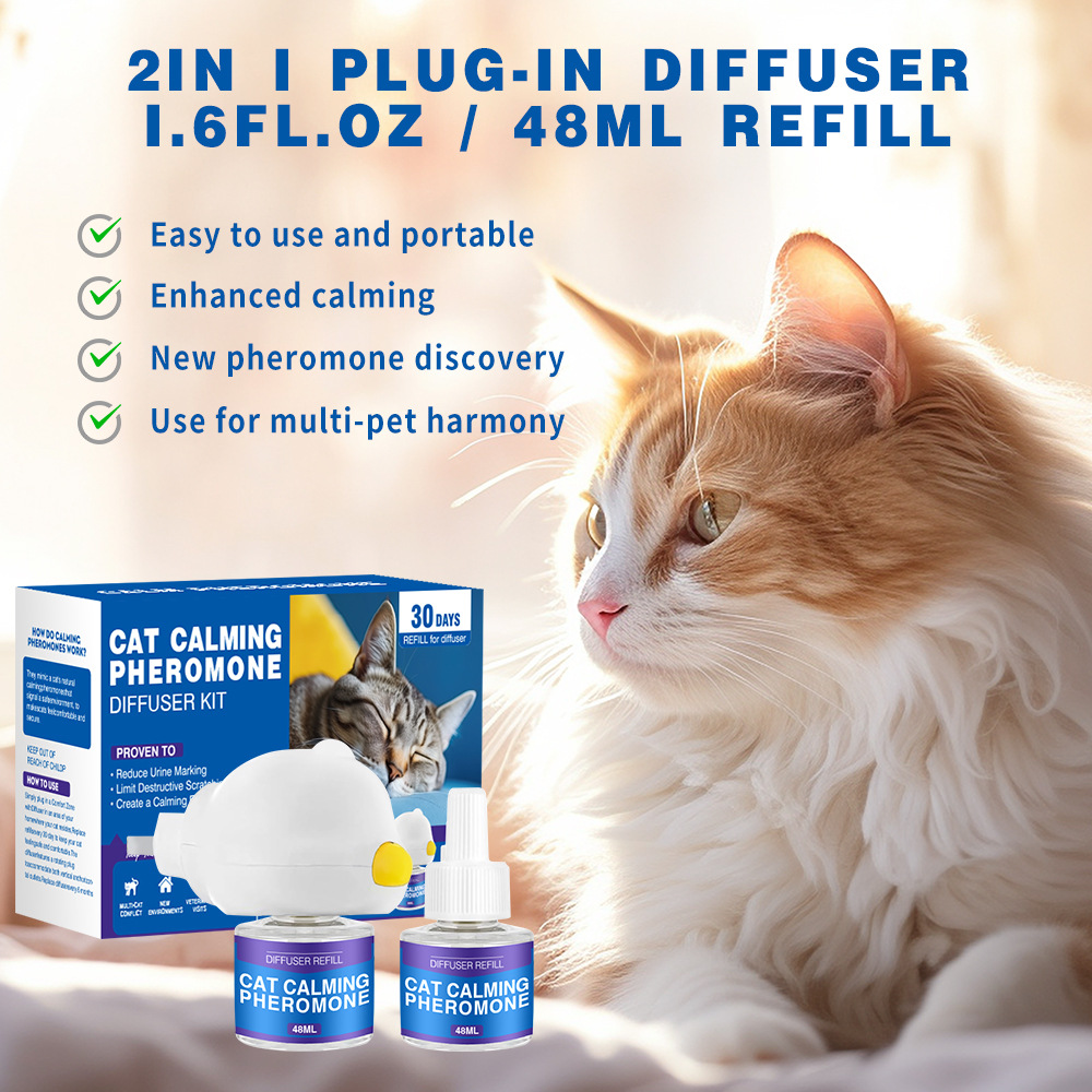 Product View 5