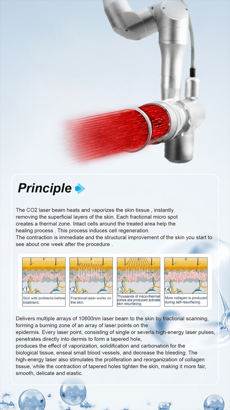 Product Description Image 2