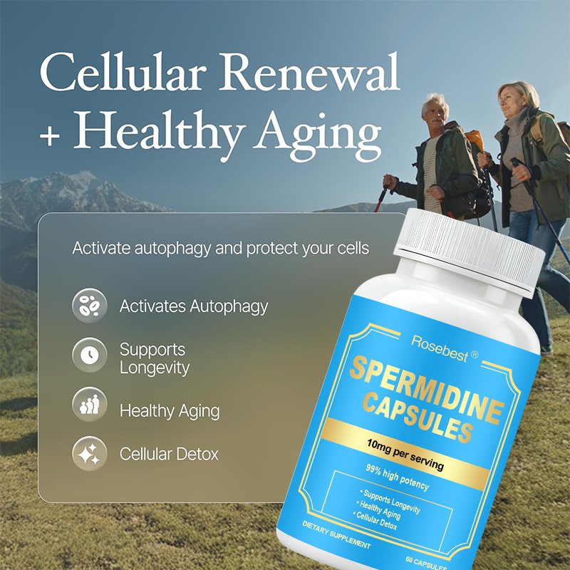Rosebest Wholesale OEM Private Label 99% High-Potency 10mg Spermidine 3HCI Capsules Cellular Renewal &amp; Healthy Aging Supplement
