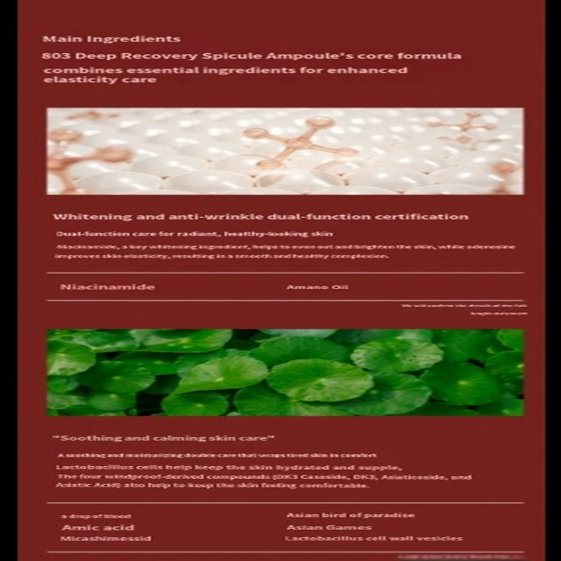 Product Description Image 7