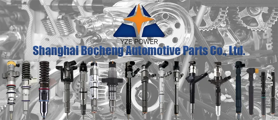 Diesel Fuel Pump Spare Parts