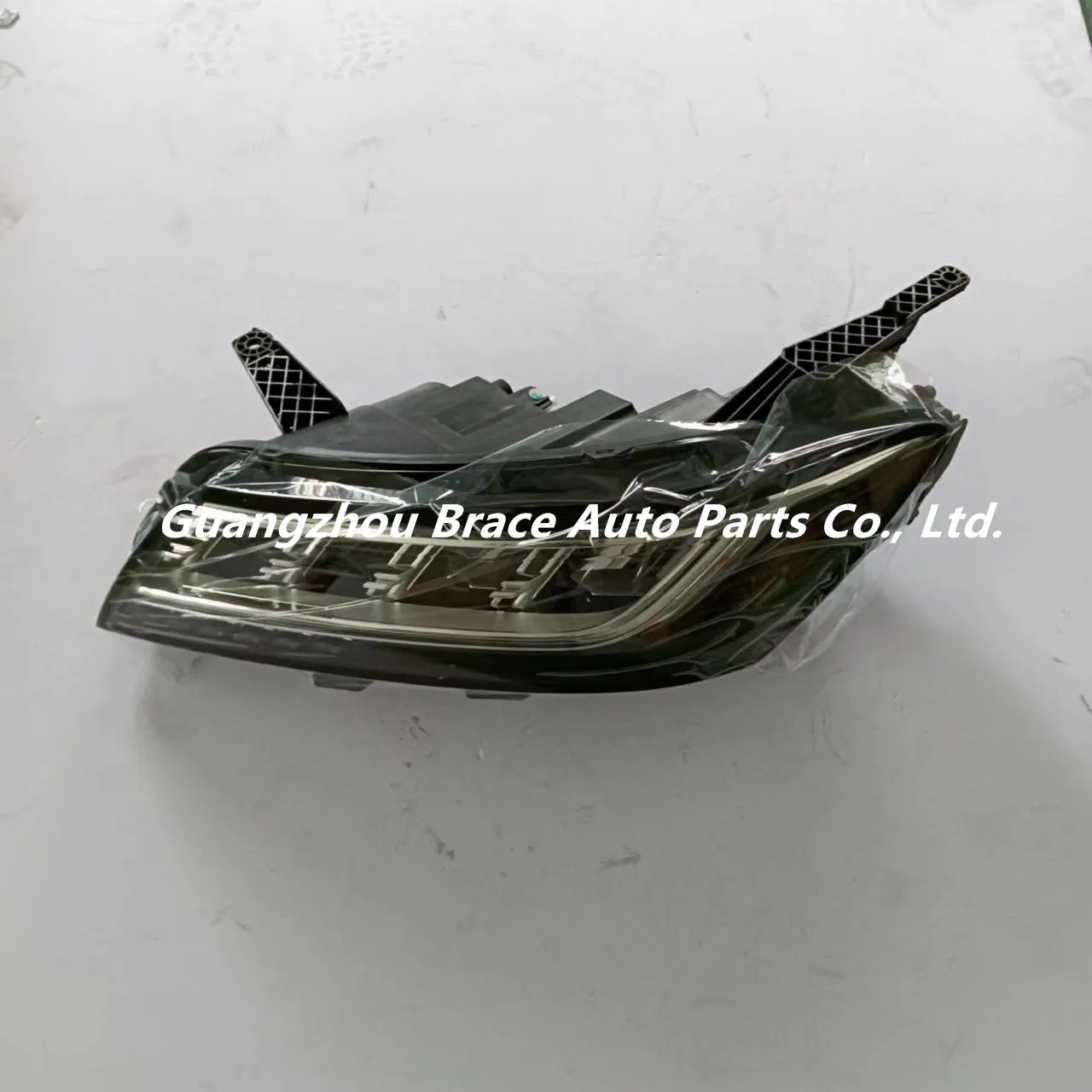 Auto Parts Headlight Front Lamp for Mg Rx5 20223919/10223920