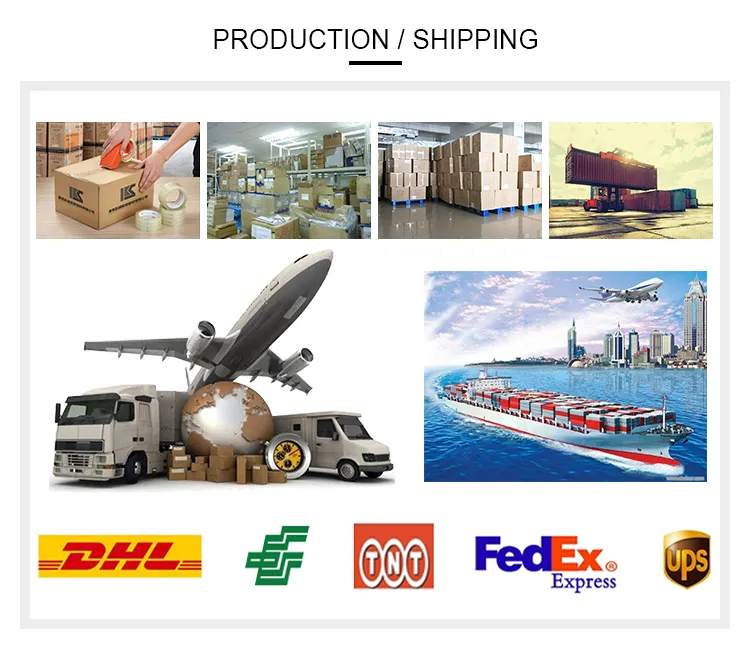 Shipping Logistics