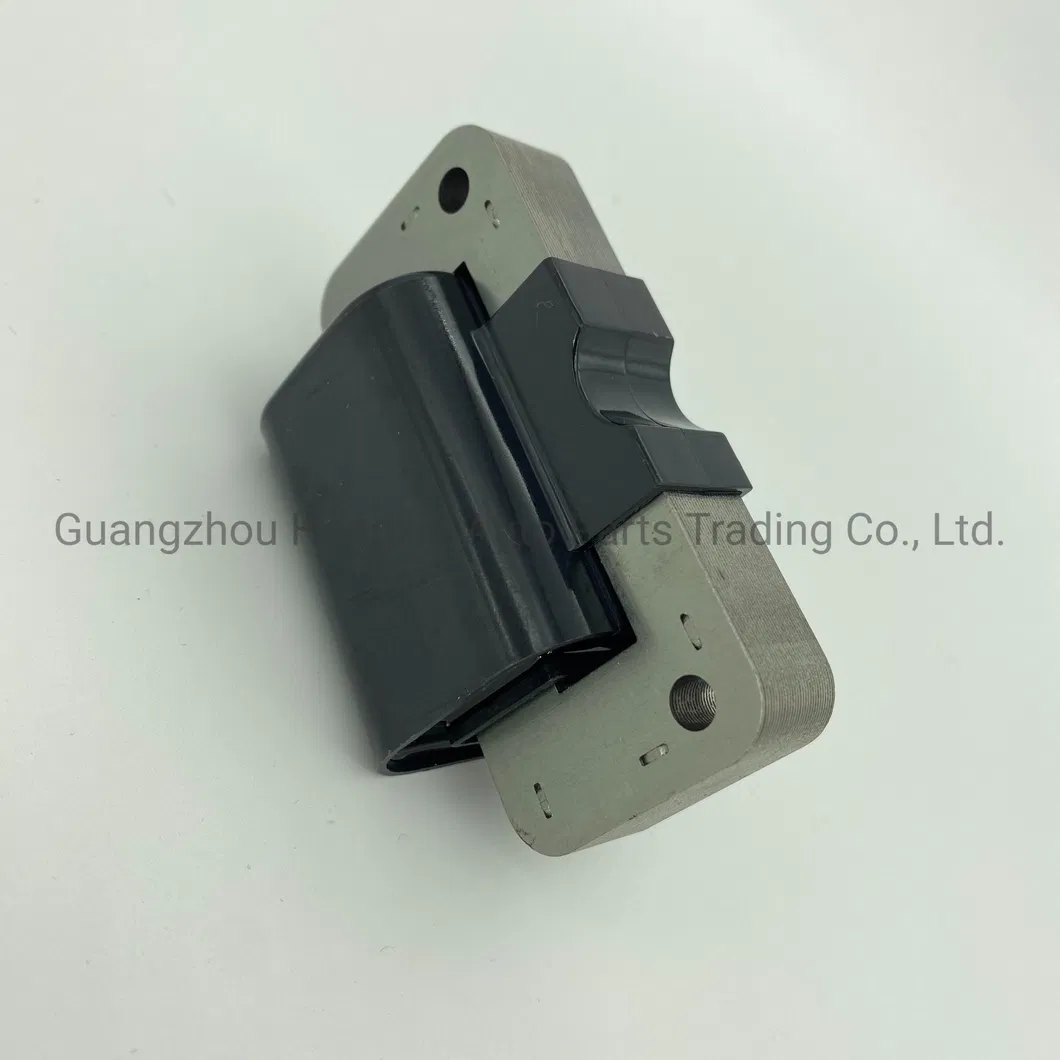 Ignition Coil Detail 4