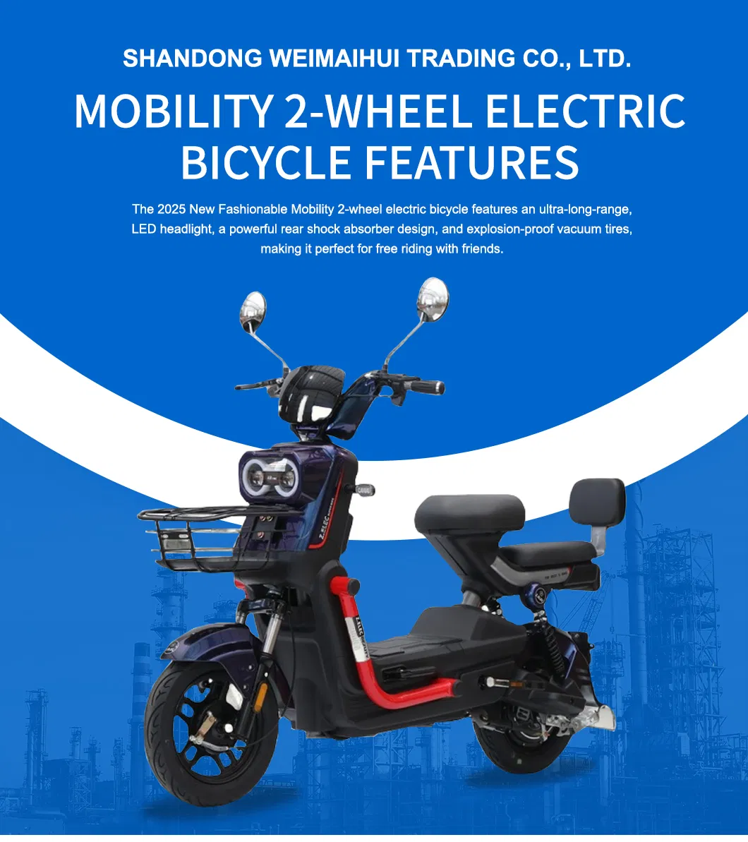 Electric vehicle