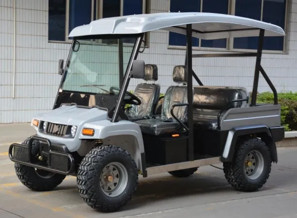 Electric Golf Car 1