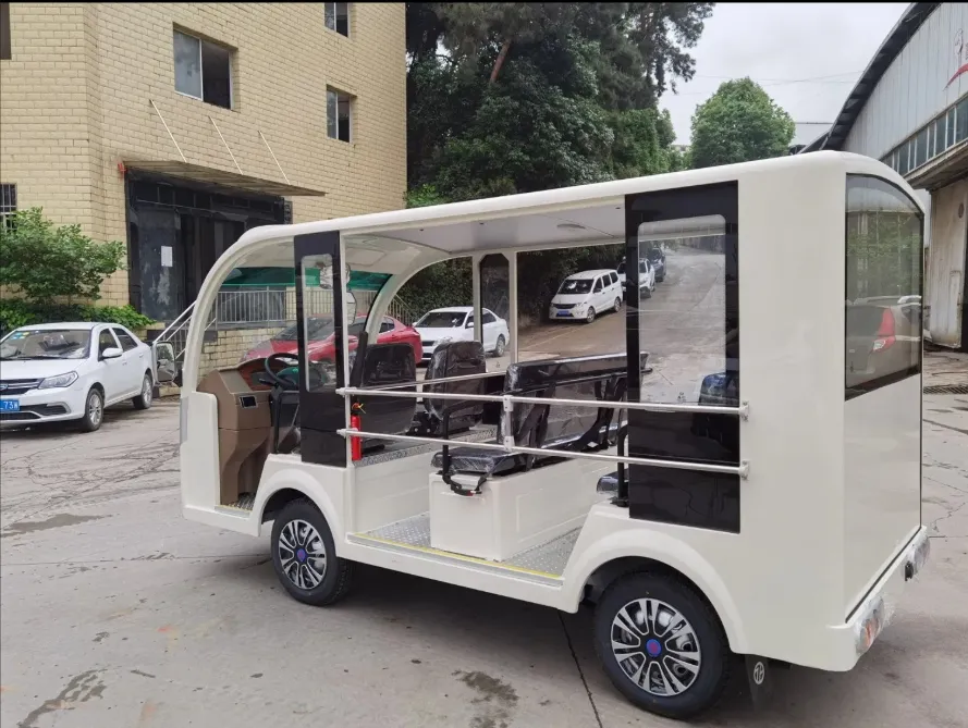 Electric Sightseeing Car 5