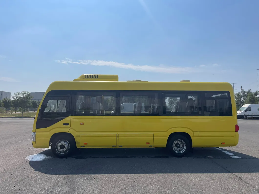 School Bus View 2