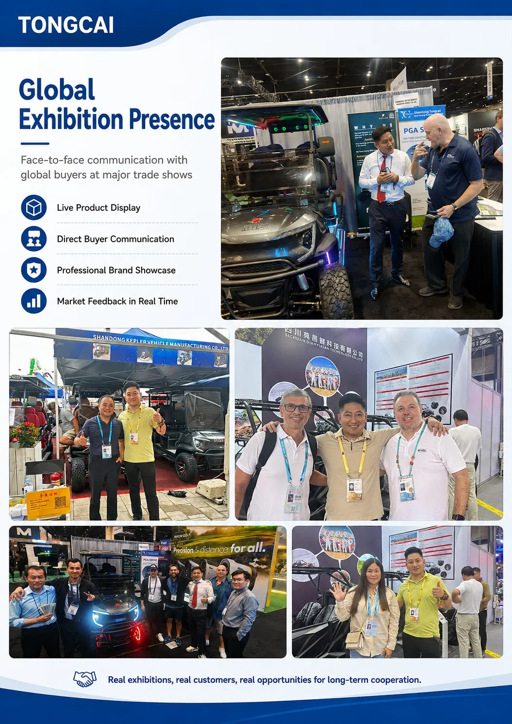 معرض الصور