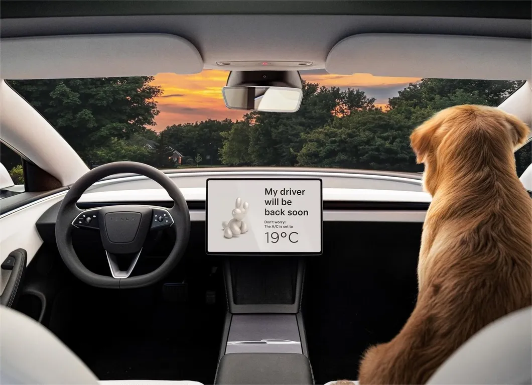 Tesla Y View 5