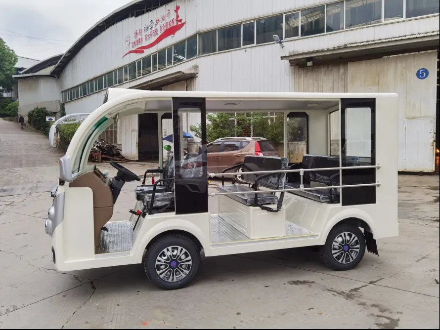 Electric Sightseeing Car 3